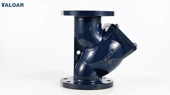Pn16 HVAC Stainless Steel Screen Flanged Ductile Iron Y Strainer